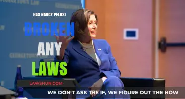 Legal Scrutiny: Nancy Pelosi's Actions Under the Microscope