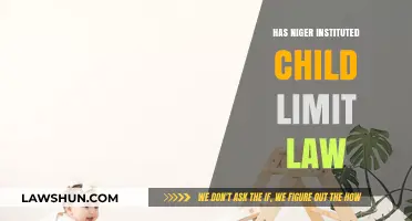 Nigeria's Child Limit Law: Fact or Fiction? Exploring the Truth