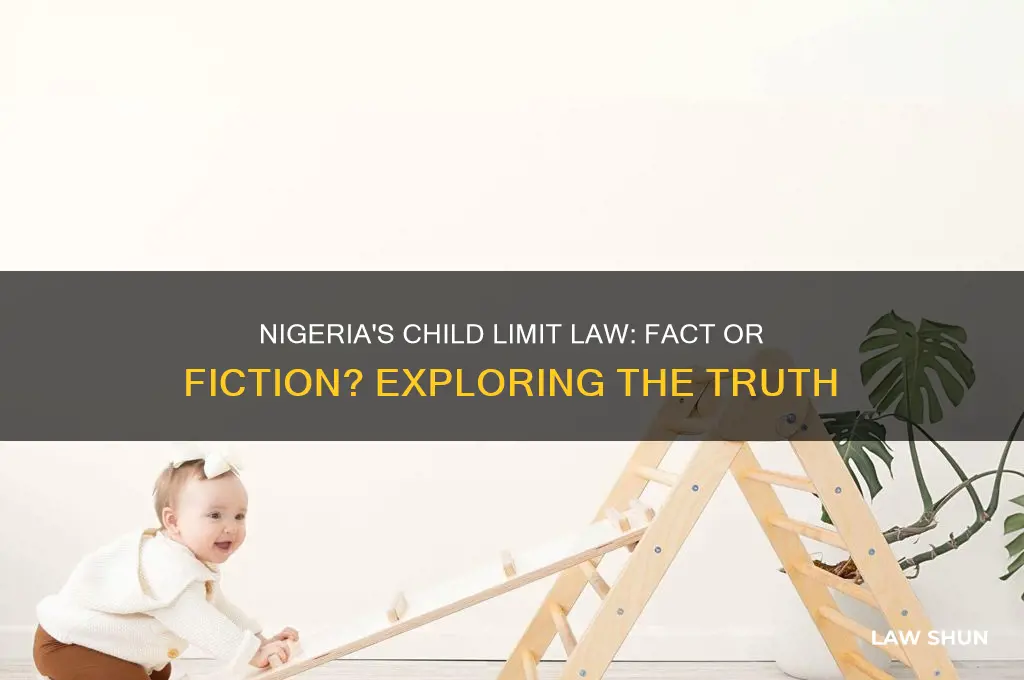 has niger instituted child limit law