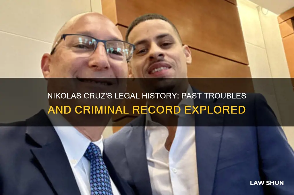 has nikolas cruz ever been in trouble with the law