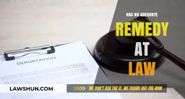 Legal Limbo: When Justice Seems Out of Reach