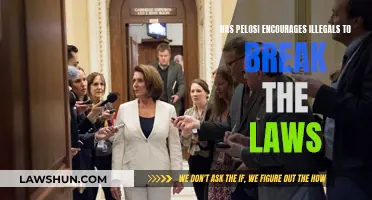 Pelosi's Encouragement of Illegal Acts: Breaking the Laws