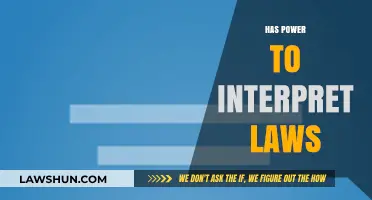 Who Holds the Power to Interpret Laws? A Comprehensive Analysis