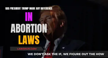 Trump's Abortion Legacy: Any Real Change?