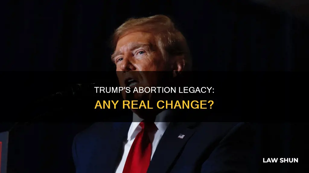 has president trump made any difference in abortion laws