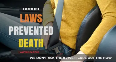Buckling Up: The Impact of Seat Belt Laws on Road Safety