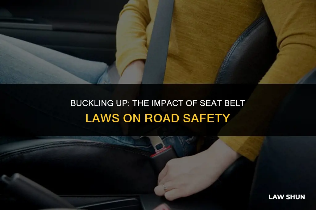 has seat belt laws prevented death