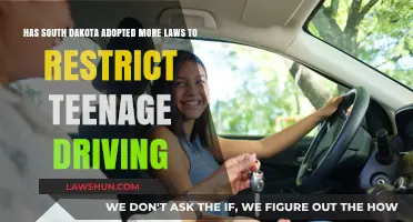 South Dakota's New Teenage Driving Laws: Restrictions and Safety Measures
