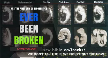 The First Law of Biogenetics: Unbreakable or Unstable?