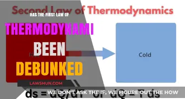 The First Law of Thermodynamics: Debunked or Defended?