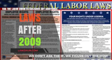 Post-2009 Labor Union Legal Advancements: New Laws and Impact