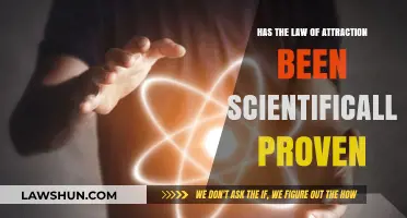 Law of Attraction: Science Fact or Fiction? Exploring the Evidence