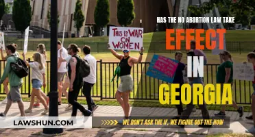 Georgia's Abortion Law: What You Need to Know Now