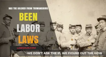 Trumansburg Soldier's Plight: Labor Laws and Military Service Explored
