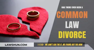 Common Law Divorce: A Valid Option?