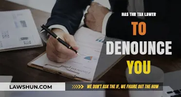 The Tax Lawyer's Dilemma: Denounce or Defend?