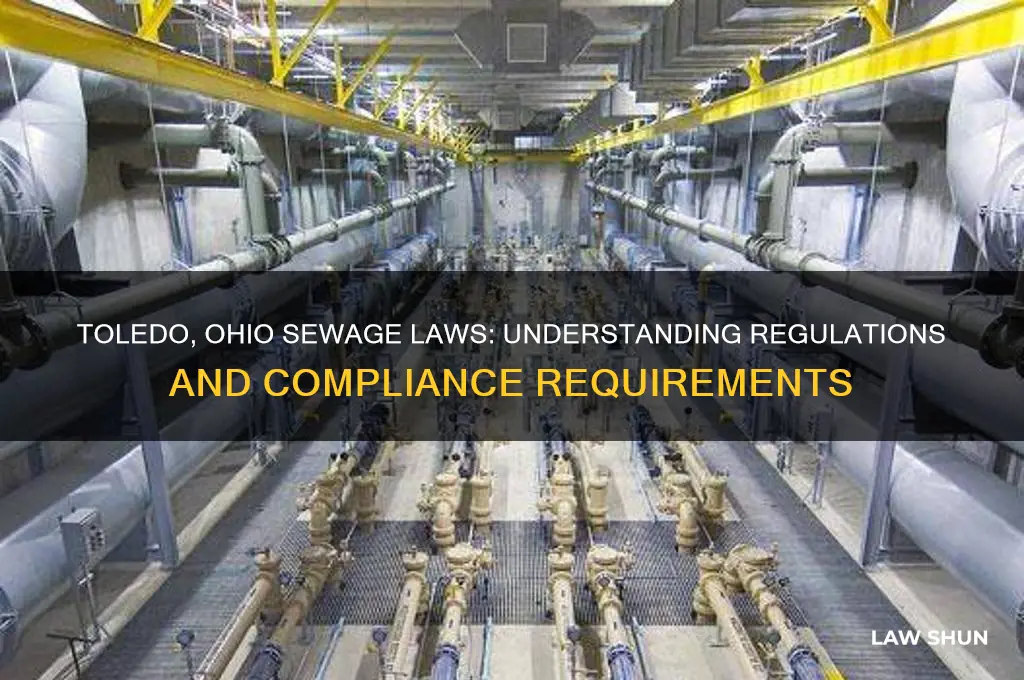 has toledo ohio sewage laws
