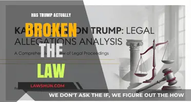 Has Trump Actually Broken the Law: A Legal Analysis