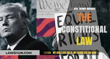 Has Trump Broken Constitutional Law? An In-Depth Analysis