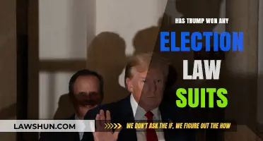 Has Trump Won Any Election Lawsuits? Analyzing Legal Outcomes Post-2020