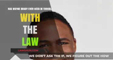 Has Wayne Brady Faced Legal Issues? Exploring His Record with the Law