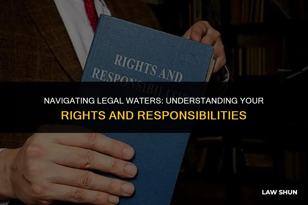 have a brush with the law