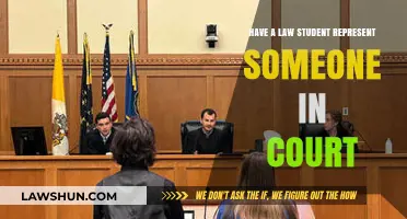 Can Law Students Represent Clients in Court? Legal Insights and Limits