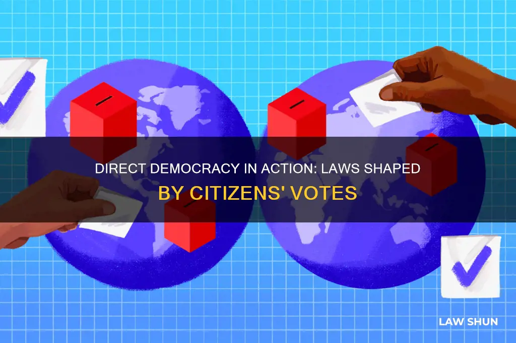 have any laws been a direct vote