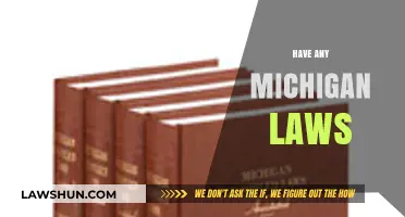 Exploring Michigan's Legal Landscape: Key Laws You Should Know