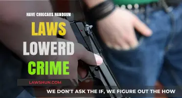 Exploring the Impact of Chicago's Handgun Laws on Crime Rates