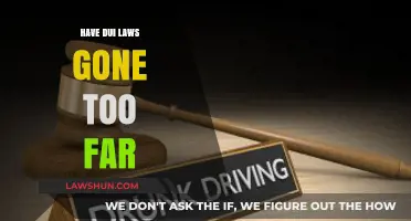 Have DUI Laws Gone Too Far? A Critical Examination