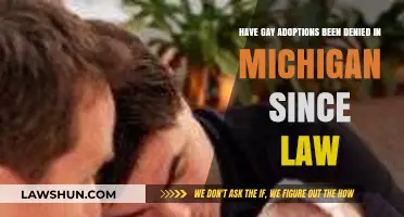 Michigan's Adoption Law: Impact on Gay Couples Since Implementation