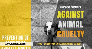 Strengthening Protections: The Push for Tougher Animal Cruelty Laws