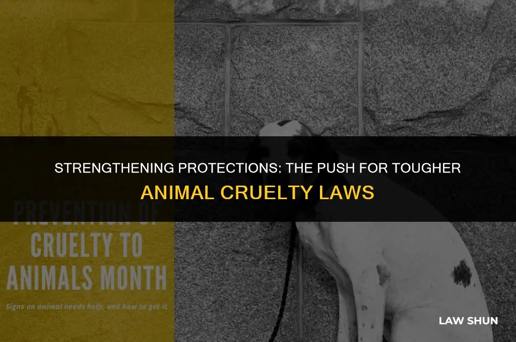 have laws toughened against animal cruelty