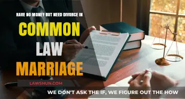 Divorcing a Common-Law Marriage with No Money