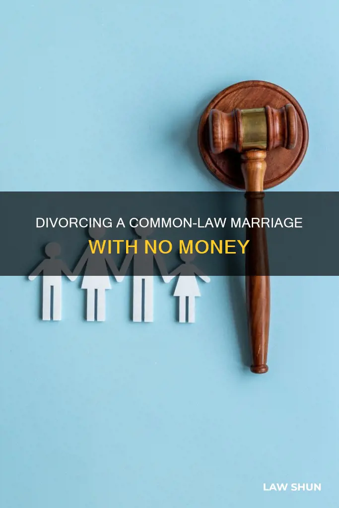 have no money but need divorce in common law marriage