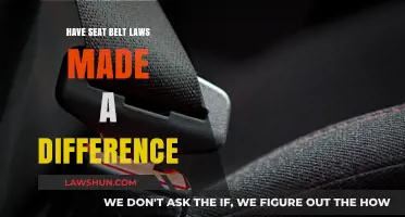 Seat Belt Laws: Impacting Safety or Just a Waste of Time?