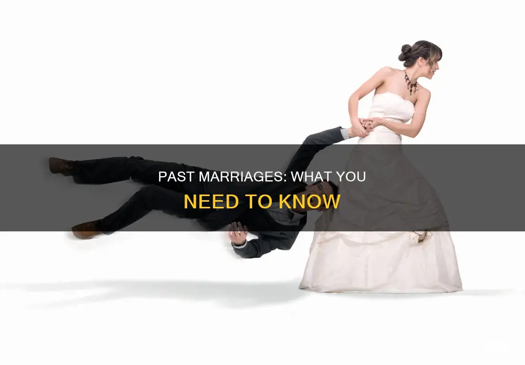 have you been previously married or in a common-law relationship