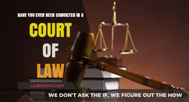 Understanding Legal Convictions: Have You Ever Faced a Court Verdict?