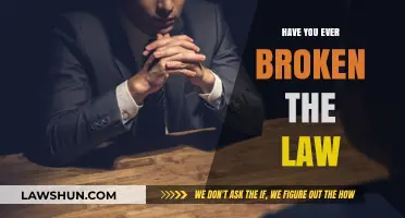 Have You Ever Broken the Law? Confessions and Consequences