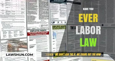 Understanding Labor Laws: Essential Rights and Responsibilities for Every Worker