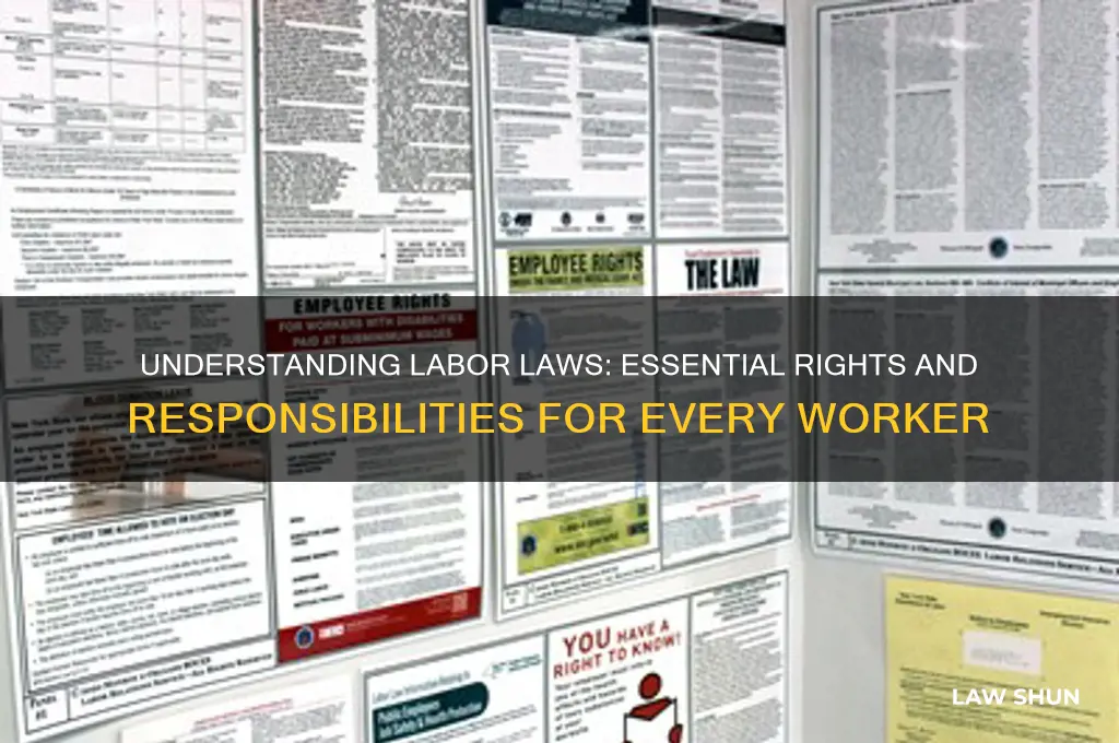 have you ever labor law
