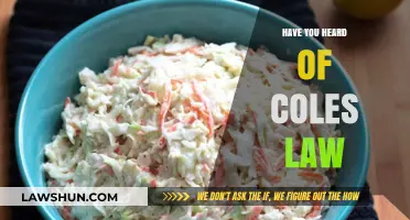 Exploring the Creamy Delights of Coleslaw: A Fresh Take