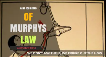 Exploring Murphy's Law: When Everything That Can Go Wrong, Does