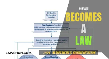 The Legislative Process: Bill to Law Explained