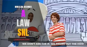 Understanding SNL's Satirical Take on How a Bill Becomes Law