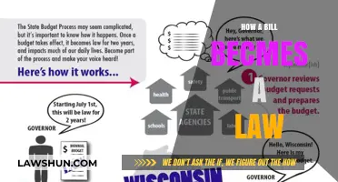 From Proposal to Law: The Legislative Journey of a Bill
