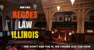From Proposal to Law: The Legislative Journey in Illinois