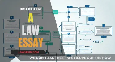 The Legislative Process: How a Bill Becomes Law