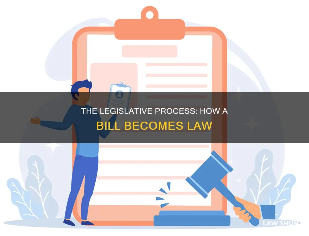 how a bill become a law essay